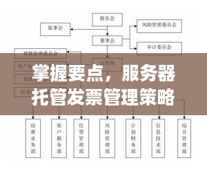 掌握要点，服务器托管发票管理策略