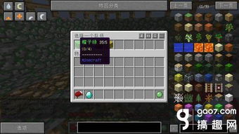 Minecraft服务器托管，如何选择最佳托管服务以优化游戏体验