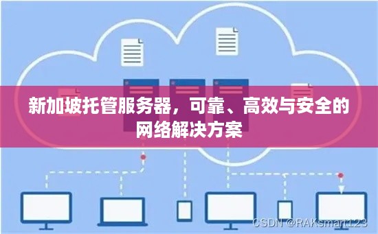 新加坡托管服务器，可靠、高效与安全的网络解决方案