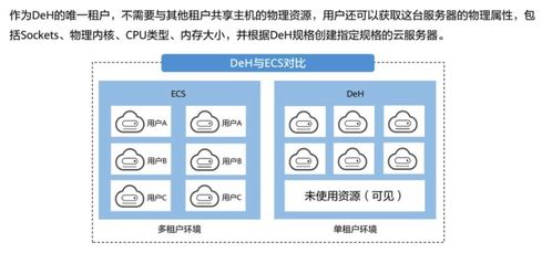 上服务器托管，优化网站性能与安全性的关键步骤