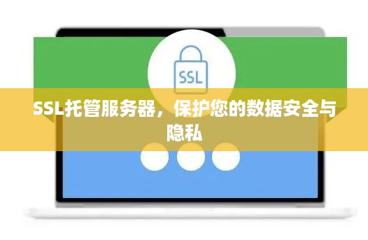 SSL托管服务器，保护您的数据安全与隐私