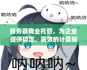 服务器商业托管，为企业提供稳定、高效的计算服务