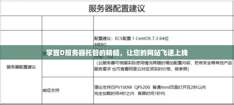 掌握D服务器托管的精髓，让您的网站飞速上线