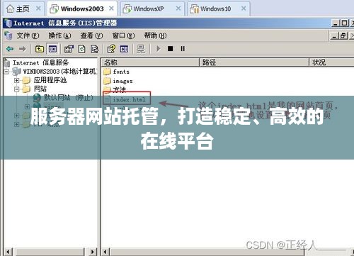 服务器网站托管，打造稳定、高效的在线平台