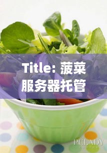 Title: 菠菜服务器托管，为您的网站提供安全、稳定、高效的托管服务