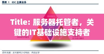 Title: 服务器托管者，关键的IT基础设施支持者