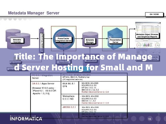 Title: The Importance of Managed Server Hosting for Small and Medium-sized Enterprises