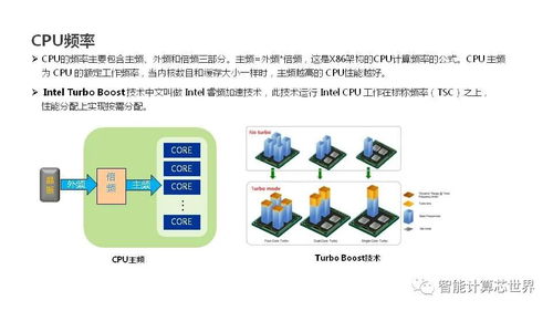 从基础到高级，全面解析服务器托管做账的全过程