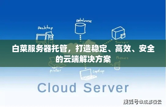 白菜服务器托管，打造稳定、高效、安全的云端解决方案
