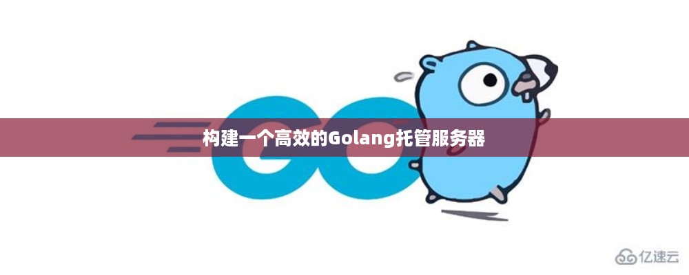 构建一个高效的Golang托管服务器