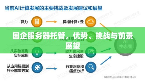 国企服务器托管，优势、挑战与前景展望