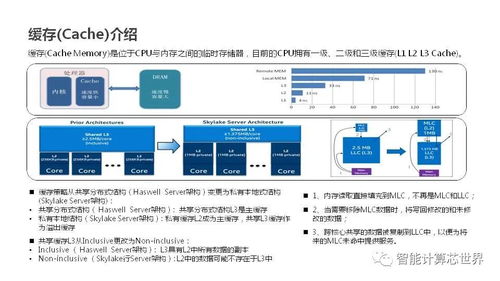 掌握核心技术，全面解析服务器托管服务