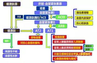 泰国托管服务器，优势、选择与注意事项