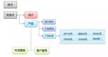 服务器托管所长，网络运营的关键角色与重要性