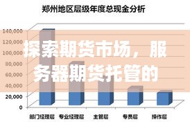 探索期货市场，服务器期货托管的优势与挑战