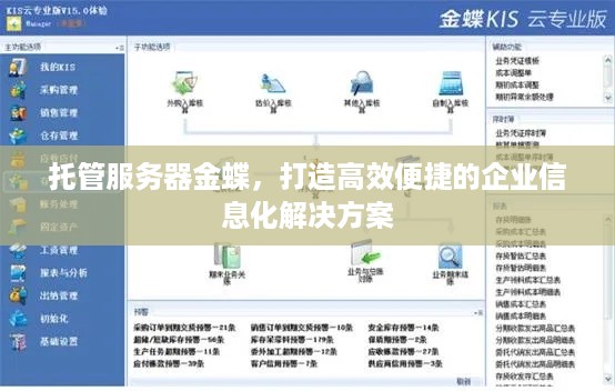 托管服务器金蝶，打造高效便捷的企业信息化解决方案