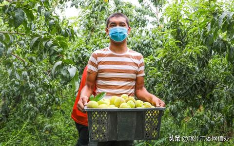 在线服务器托管，让您的业务无后顾之忧