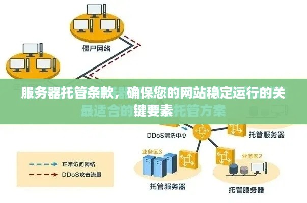 服务器托管条款，确保您的网站稳定运行的关键要素