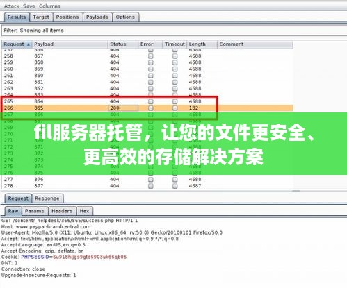 fil服务器托管，让您的文件更安全、更高效的存储解决方案