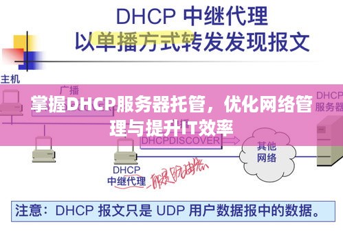 掌握DHCP服务器托管，优化网络管理与提升IT效率