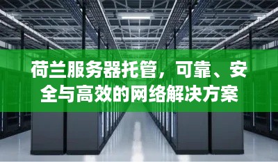 荷兰服务器托管，可靠、安全与高效的网络解决方案