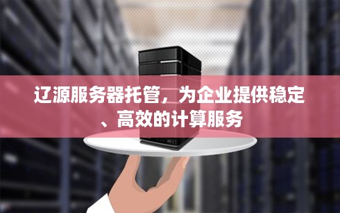 辽源服务器托管，为企业提供稳定、高效的计算服务