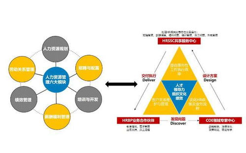 珠海服务器托管，您的业务运营的完美伙伴