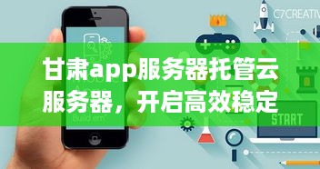 甘肃app服务器托管云服务器，开启高效稳定的应用程序运行环境