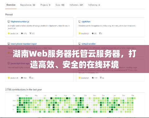 湖南Web服务器托管云服务器，打造高效、安全的在线环境