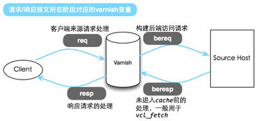 代理服务器与托管服务器，了解它们的工作方式和优势