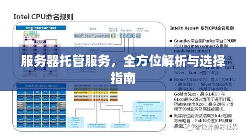 服务器托管服务，全方位解析与选择指南