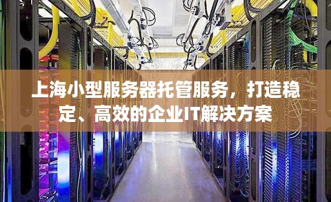 上海小型服务器托管服务，打造稳定、高效的企业IT解决方案