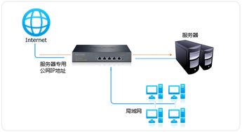 托管G口服务器，选择与使用攻略