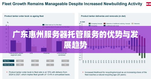 广东惠州服务器托管服务的优势与发展趋势