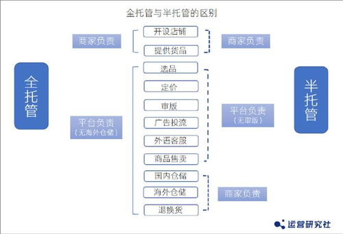 全面解析，日本服务器托管价格因素与优缺点