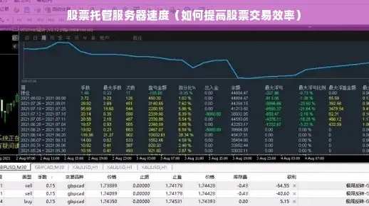 股票托管服务器费用，如何选择与节省成本？