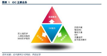 Title: IDC服务器托管机构，关键的IT基础设施支持者