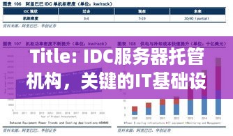 Title: IDC服务器托管机构，关键的IT基础设施支持者