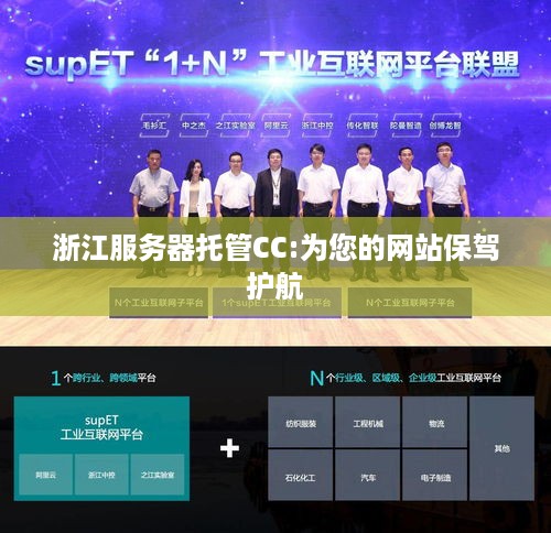 浙江服务器托管CC:为您的网站保驾护航