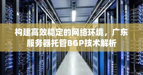 构建高效稳定的网络环境，广东服务器托管BGP技术解析