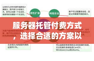 服务器托管付费方式，选择合适的方案以确保业务稳定运行