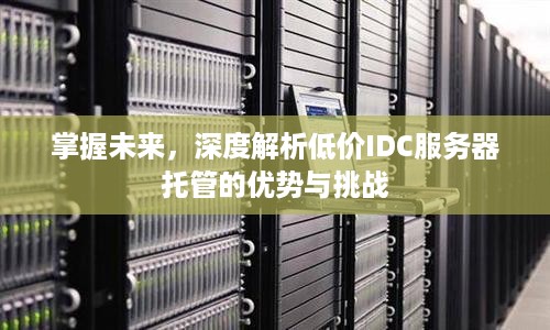 掌握未来，深度解析低价IDC服务器托管的优势与挑战