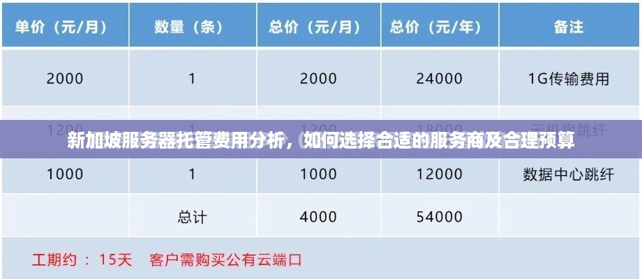 新加坡服务器托管费用分析，如何选择合适的服务商及合理预算