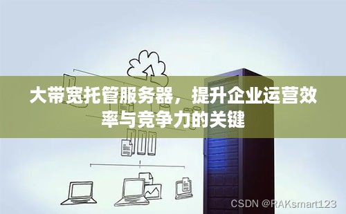 大带宽托管服务器，提升企业运营效率与竞争力的关键