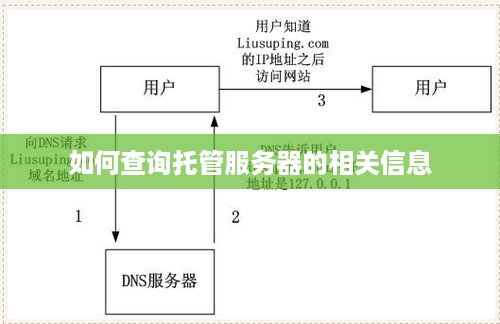 如何查询托管服务器的相关信息