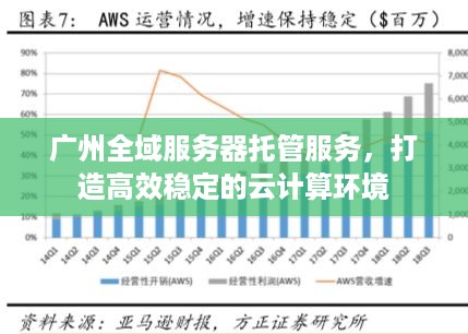 广州全域服务器托管服务，打造高效稳定的云计算环境