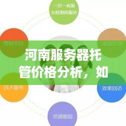 河南服务器托管价格分析，如何选择性价比最高的服务商