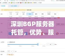 深圳BGP服务器托管，优势、服务与选择指南