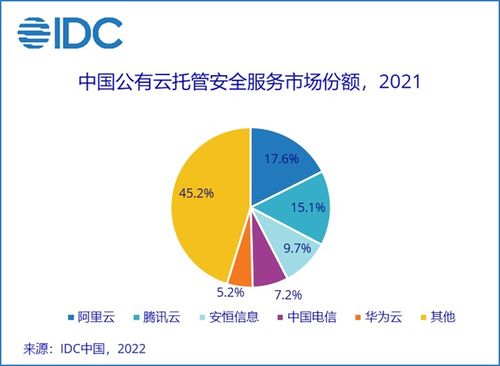 俄罗斯服务器托管，稳定、安全与高速的完美结合