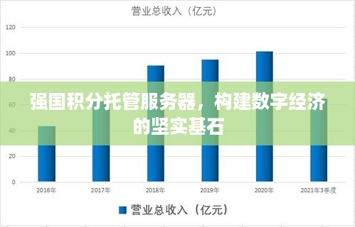 强国积分托管服务器，构建数字经济的坚实基石